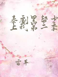 泰剧黑帮少爷爱上我第二季