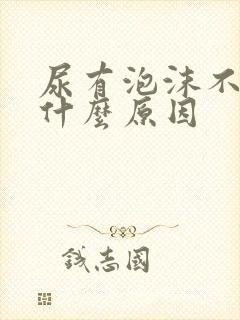 尿有泡沫不散是什么原因