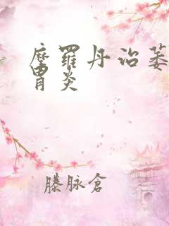 摩罗丹治萎缩性胃炎