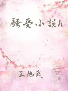 骚受小说h
