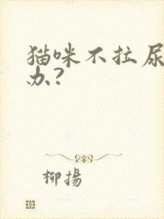 猫咪不拉尿怎么办?