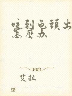 咬到龟头出血了怎么办