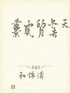 黄山的冬天看雪景几月去