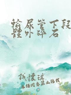 输尿管下段结石体外碎石