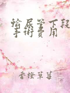 输尿管下段结石手术费用