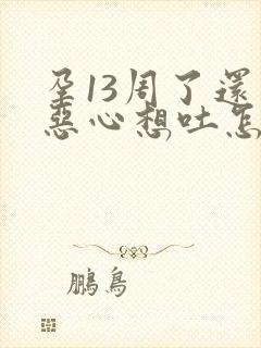 孕13周了还是恶心想吐怎么回事