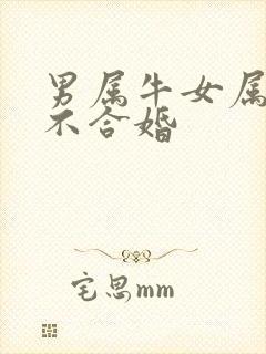 男属牛女属兔合不合婚