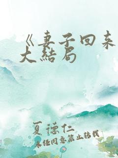 《妻子回来了》大结局