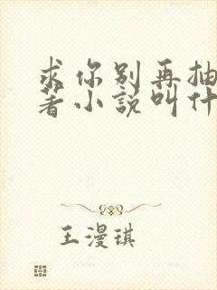 求你别再抽了原著小说叫什么