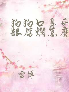 狗狗口臭牙齿牙龈腐烂怎么办