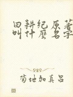 田耕纪原著小说叫什么名字