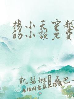 杨小天穿越武魂的小说免费阅读无弹窗