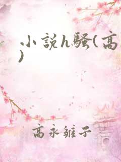 小说h骚(高h)
