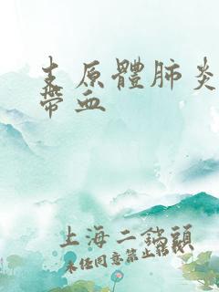 支原体肺炎痰中带血