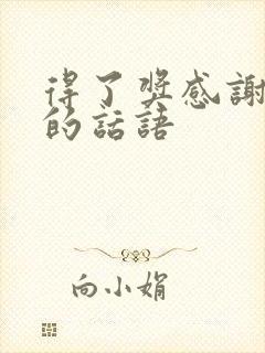 得了奖感谢领导的话语