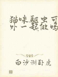 猫咪驱虫可以内外一起做吗