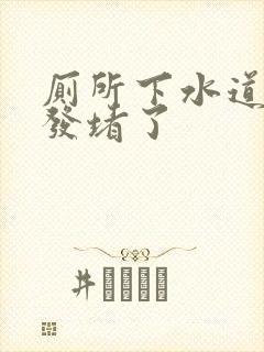 厕所下水道被头发堵了