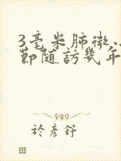 3毫米肺微小结节随访几年