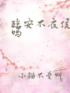 临安不夜侯好看吗