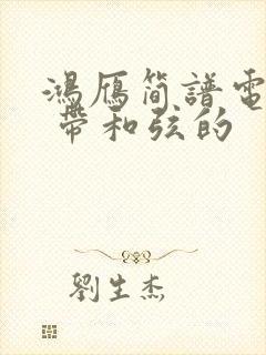 鸿雁简谱电子琴 带和弦的