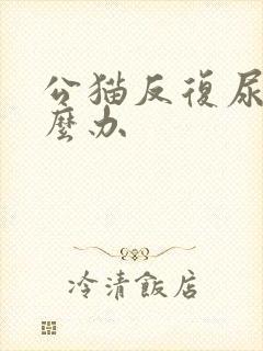 公猫反复尿闭怎么办