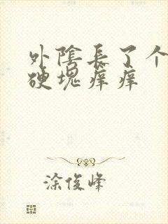 外阴长了个大痘硬块痒痒