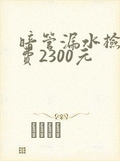 暗管漏水检测收费2300元
