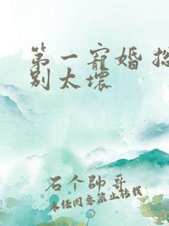第一宠婚 总裁别太坏