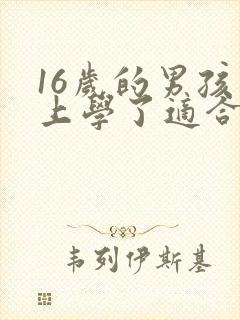 16岁的男孩不上学了适合学点什么