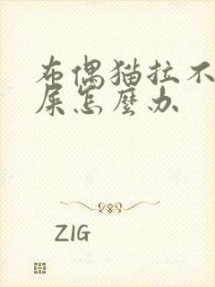 布偶猫拉不出来屎怎么办