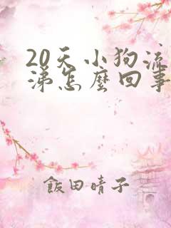 20天小狗流鼻涕怎么回事