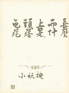 龟头上面长了小疙瘩是什么病