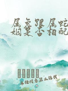 属兔跟属蛇的婚姻是否相配