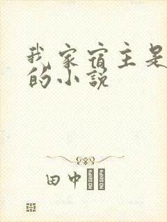 我家宿主是爸爸的小说