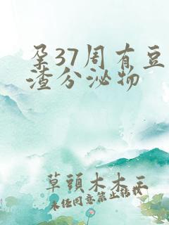 孕37周有豆腐渣分泌物