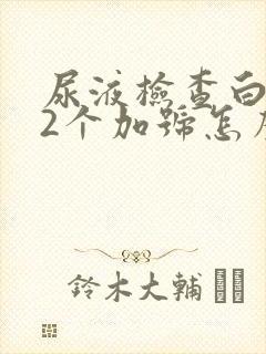 尿液检查白细胞2个加号怎么回事