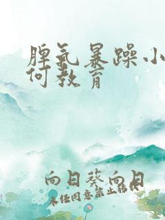 脾气暴躁小孩如何教育