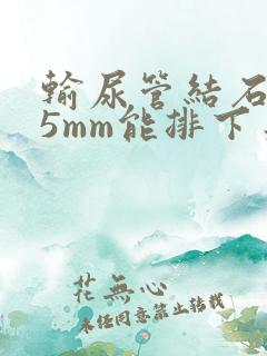 输尿管结石9.5mm能排下来吗