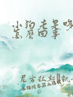 小狗老是哆嗦是怎么回事