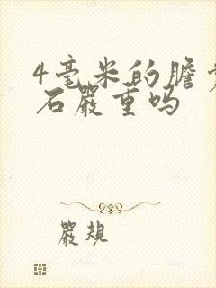 4毫米的胆囊结石严重吗