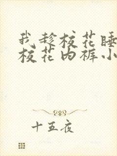 我趁校花睡了脱校花内裤小说