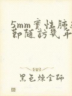 5mm实性肺结节随访几年