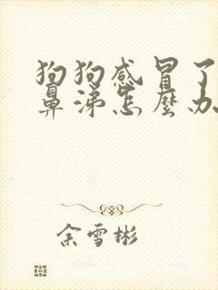 狗狗感冒了流黄鼻涕怎么办