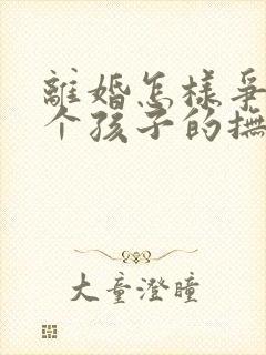 离婚怎样争夺两个孩子的抚养权