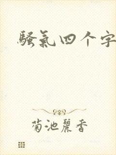 骚气四个字网名