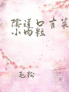 阴道口有菜花状小肉粒