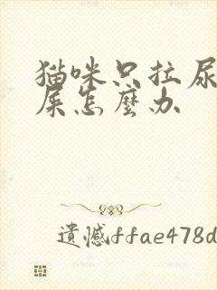 猫咪只拉尿不拉屎怎么办