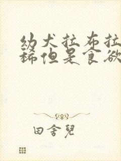 幼犬拉布拉多拉稀但是食欲很好