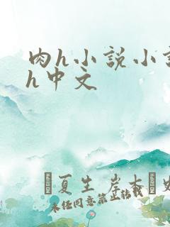 肉h小说小说肉h中文