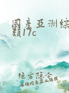 国产亚洲综合另类17c